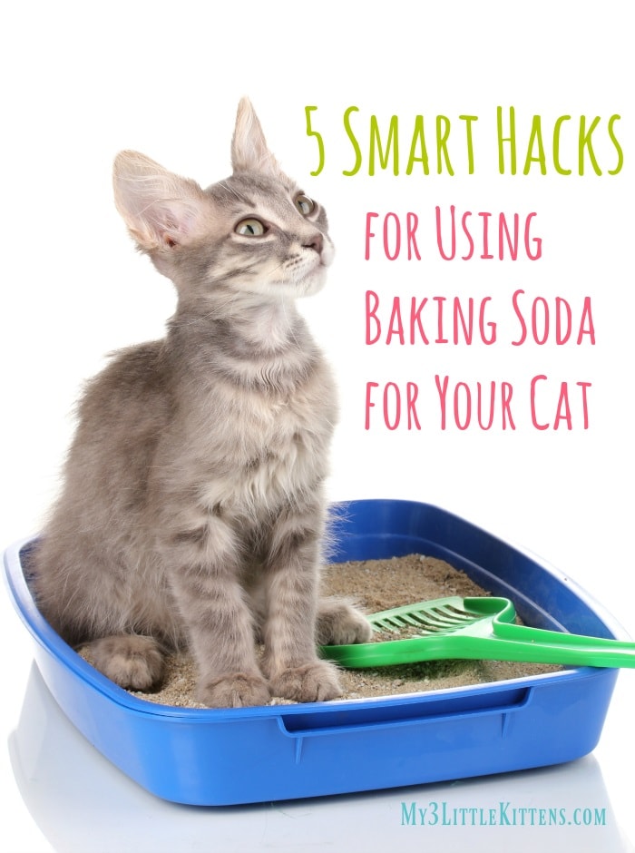 baking soda for your cat